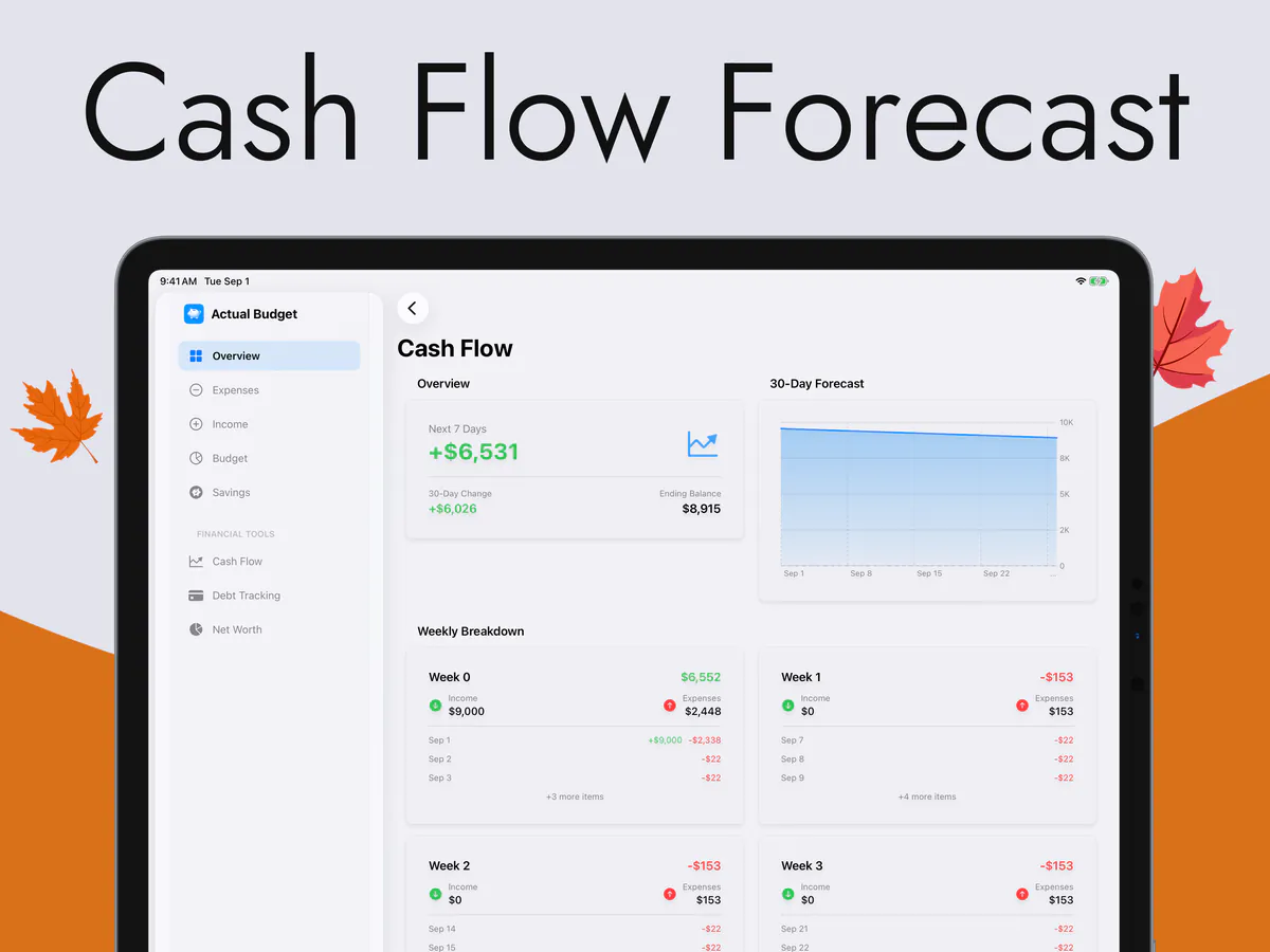 Cash Flow Forecast